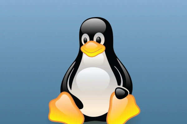 CISA Warns of Active Exploitation of Linux Kernel Vulnerability CVE-2024-1086