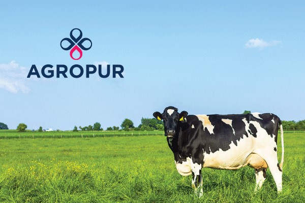 Data breach exposes customer information of dairy giant Agropur