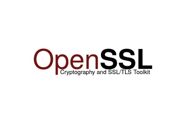 OpenSSL Stack Buffer Overflow Vulnerability Enables Pre-Auth Remote Code Execution