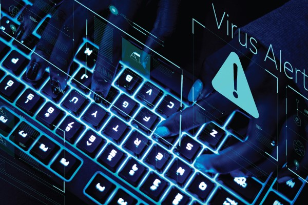 SurveyLama Data Breach Exposes 4.4 Million Users' Personal Information