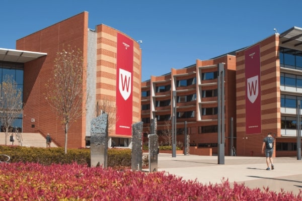 Cyber Attack on Western Sydney University Compromises Personal Data